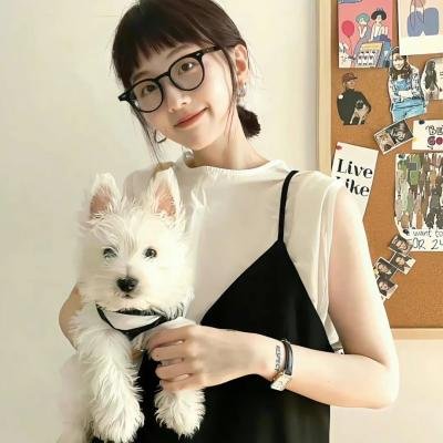 献给阿尔吉侬的花束