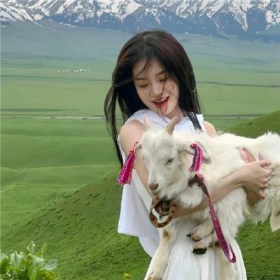 春风又绿江南岸