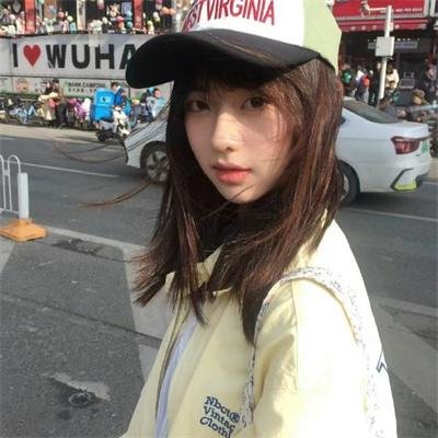 两只老虎